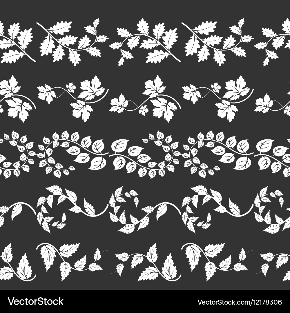 Curly Branch Border Pattern vector image