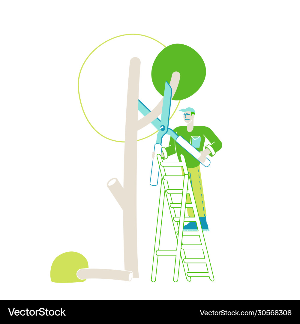 Man Trimming Tree with Scissors vector image