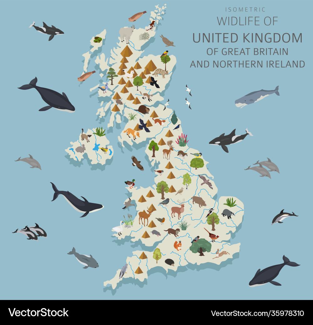 Isometric 3d design united kingdom wildlife Isometric 3d design united kingdom wildlife vector image