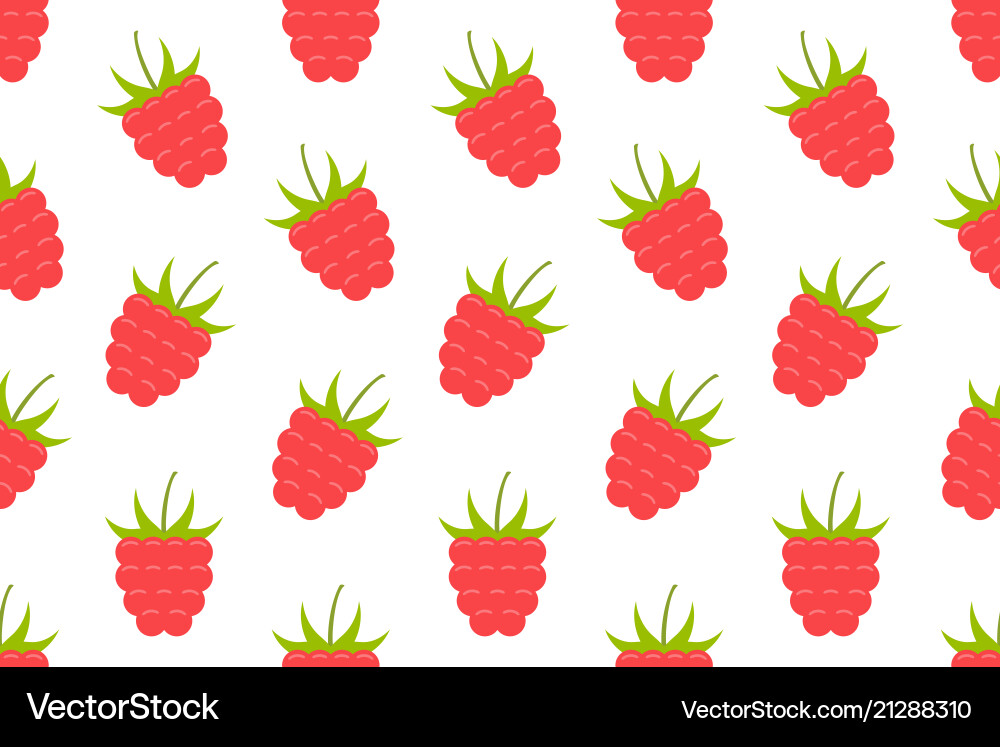 Seamless pattern with raspberry vector image
