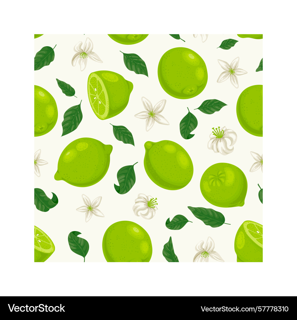 Seamless pattern with whole and sliced limes vector image