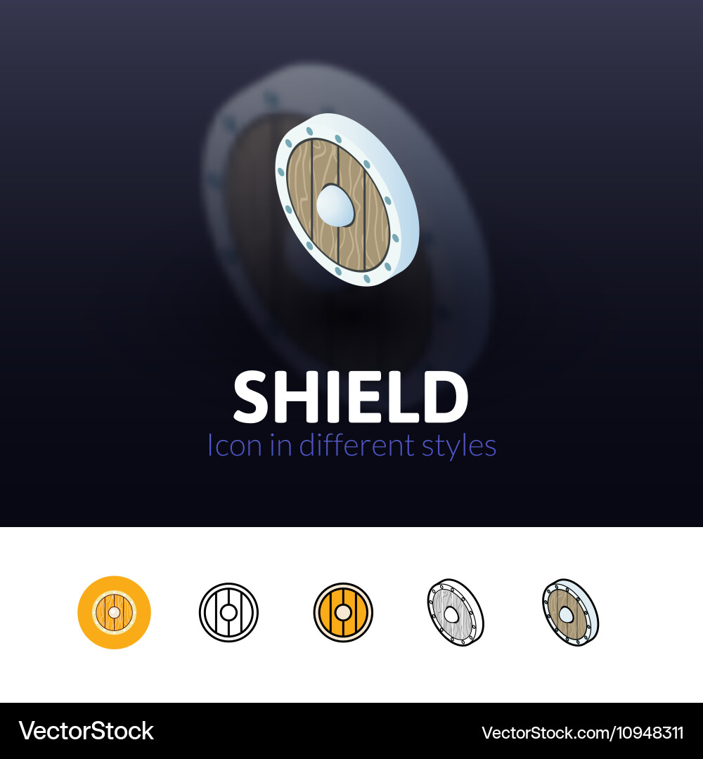 Shield icon in different style vector image