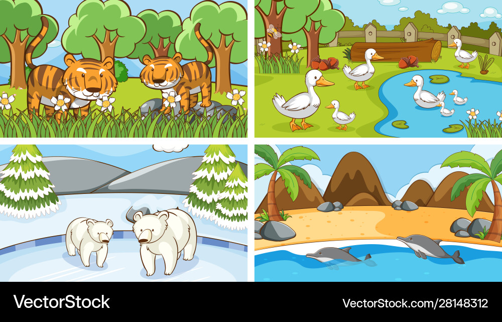 Background scenes animals in wild Background scenes animals in wild vector image