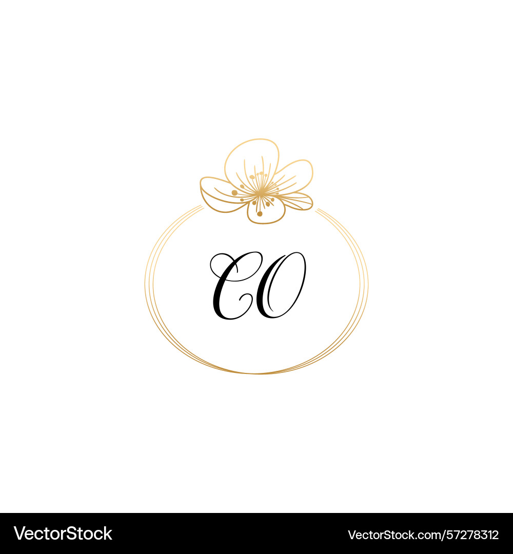 Botanical monogram logos with initial co Vector Image