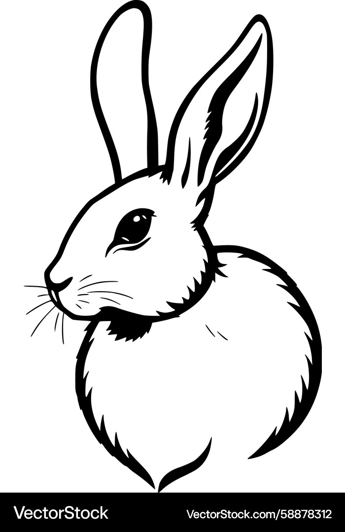 Rabbit Line Art Drawing Vector Image