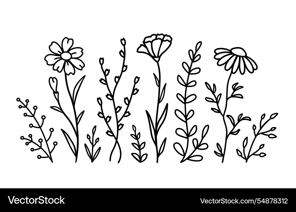 Wildflower Botanical Pattern vector image