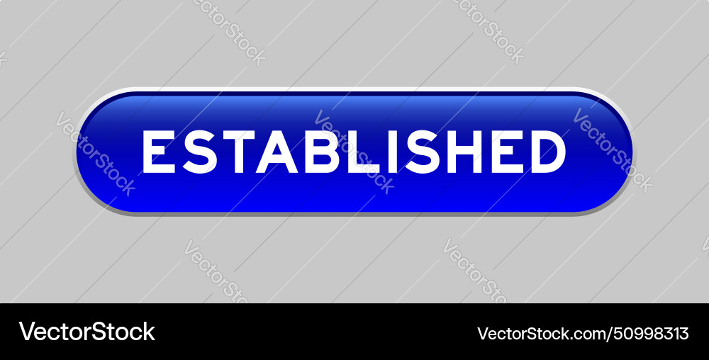 Blue color capsule shape button with word Blue color capsule shape button with word vector image