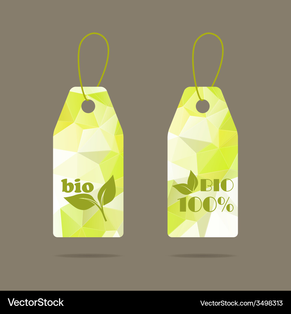 Label with triangular texture and polygonal mesh Vector Image
