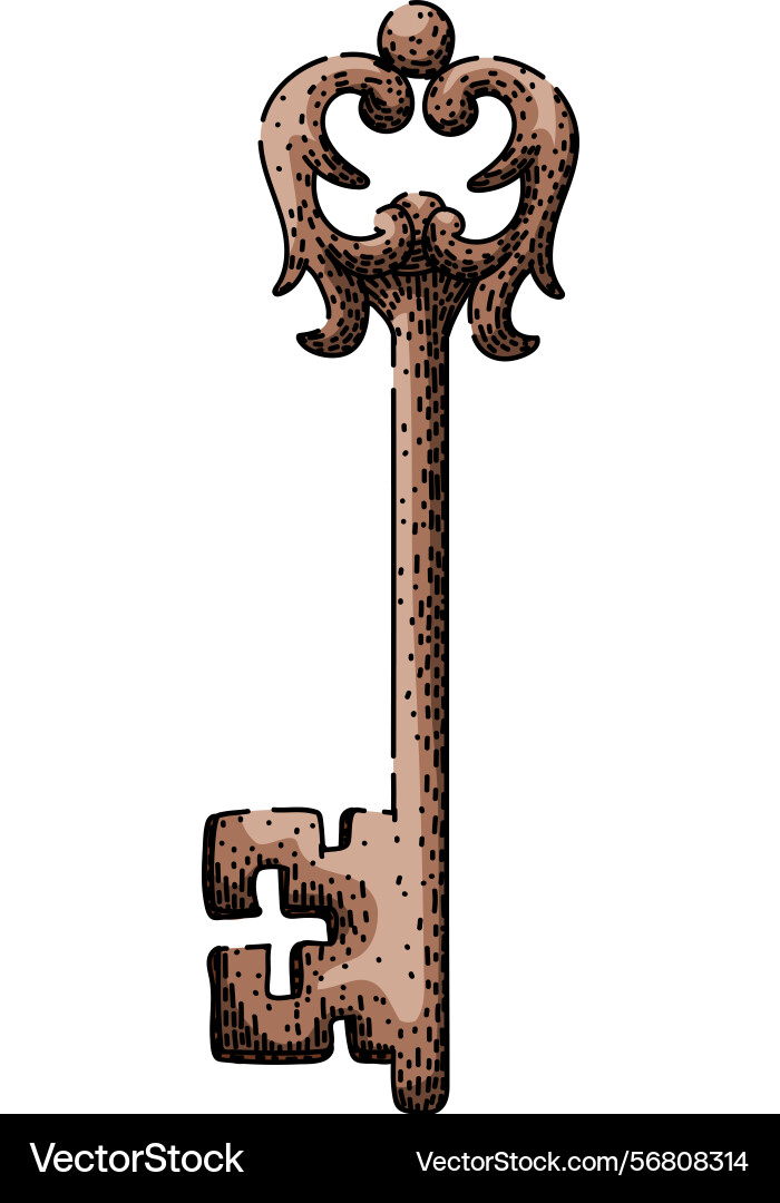 Access skeleton key sketch hand drawn Vector Image