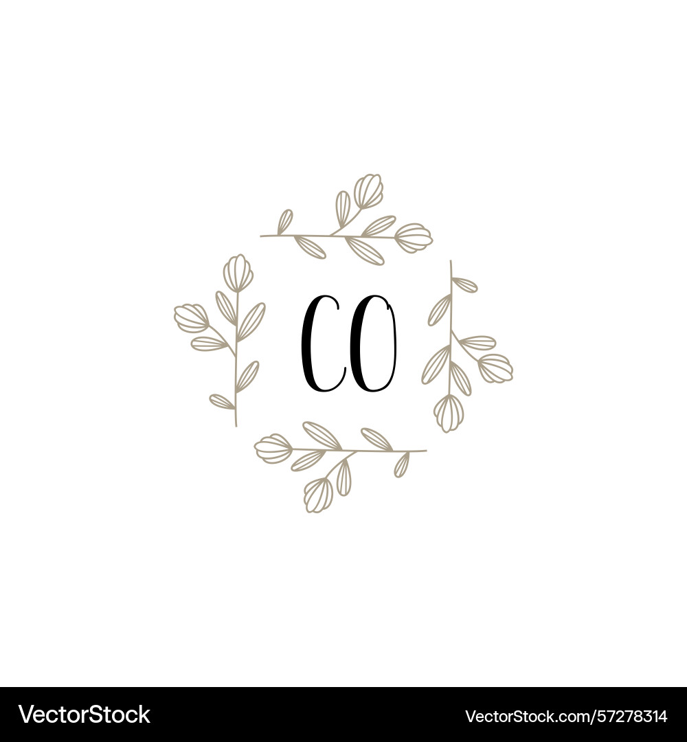 Botanical monogram logos with initial co Vector Image