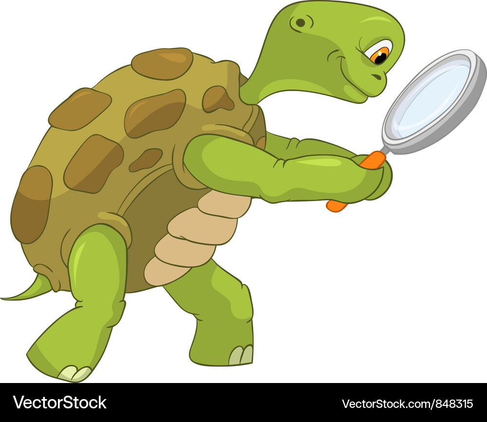Cute Turtle Searching Vector Image