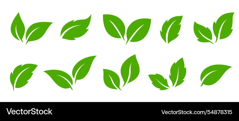 Flying leaves icons green branches silhouettes Flying leaves icons green branches silhouettes vector image