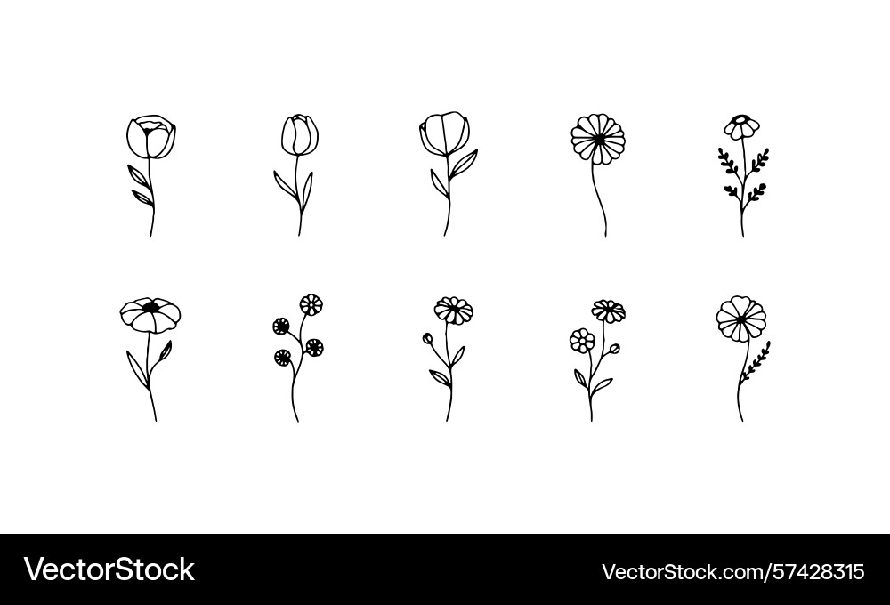 Light bloom collection a softly group Vector Image
