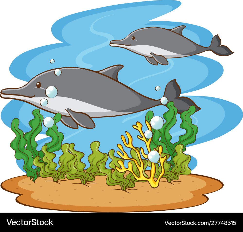 Scene with two dolphins in ocean Scene with two dolphins in ocean vector image