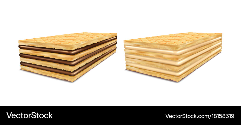A set of rectangular vector image