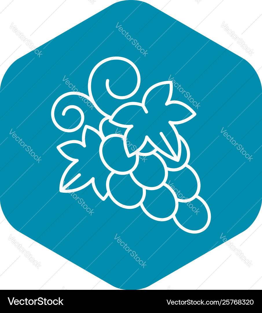 Table grape icon outline style Vector Image