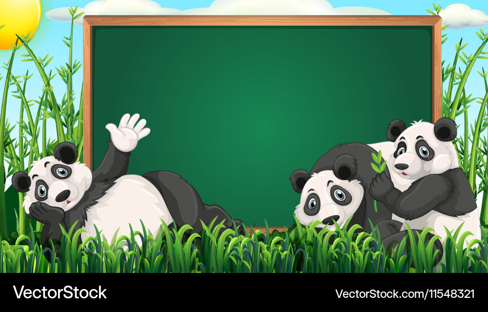 Board design with three pandas on grass vector image
