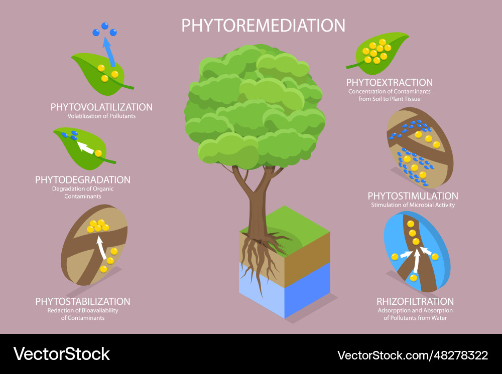 3d isometric flat conceptual Royalty Free Vector Image