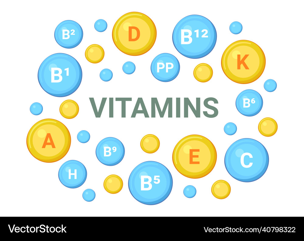 Fat-soluble and water-soluble vitamins set multi Fat-soluble and water-soluble vitamins set multi vector image