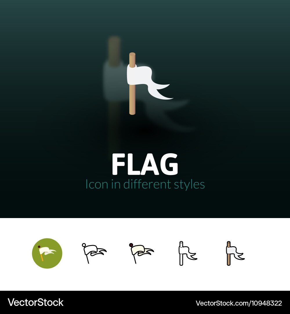Flag icon in different style Vector Image