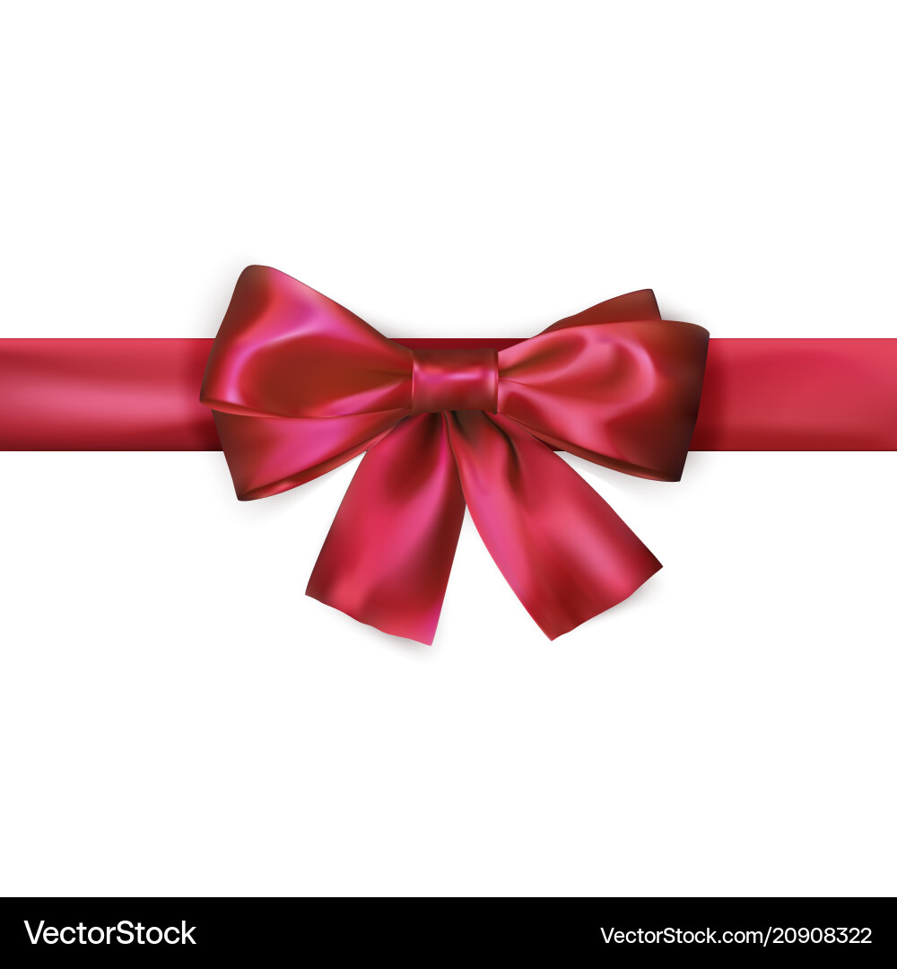 Red bow with ribbon isolated on white background Red bow with ribbon isolated on white background vector image