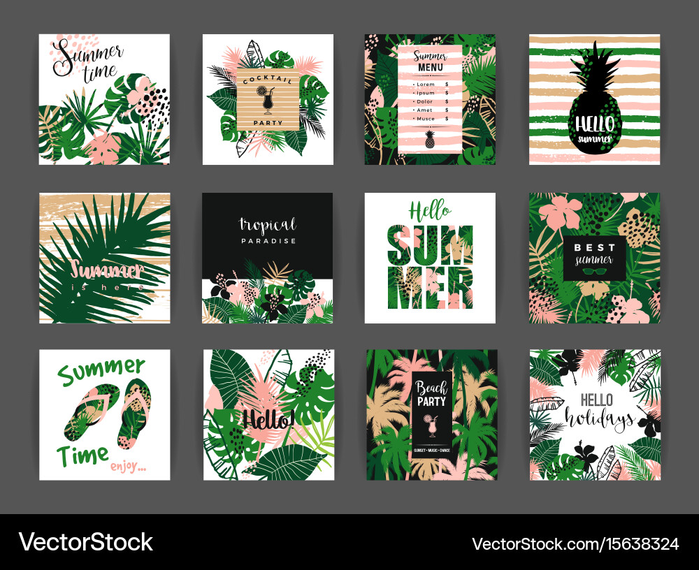 Tropical Summer Templates vector image