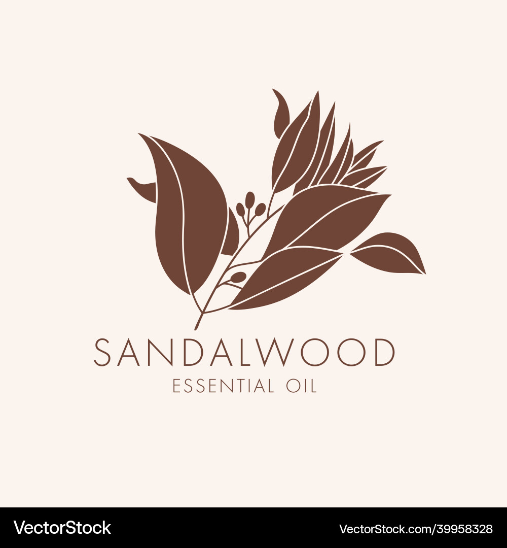 Linear botanical icon and symbol Linear botanical icon and symbol vector image