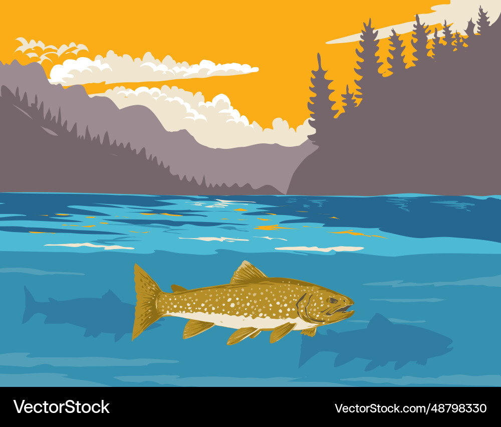 Lake Trout in Gates of the Mountains vector image