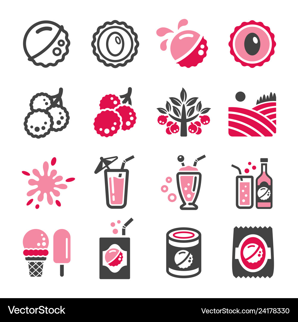 Lychee icon set Royalty Free Vector Image - VectorStock