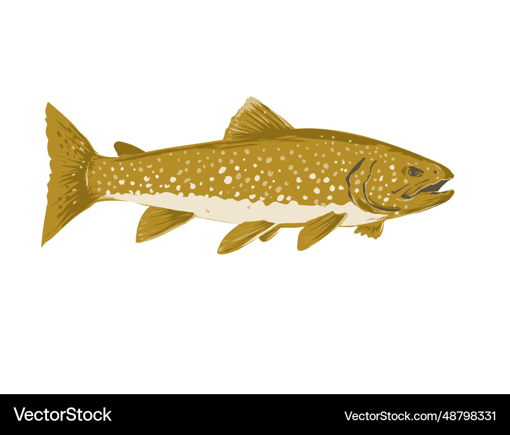 WPA Lake Trout Poster Art vector image