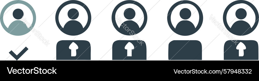 User Verification Checkmark Icons Vector Image