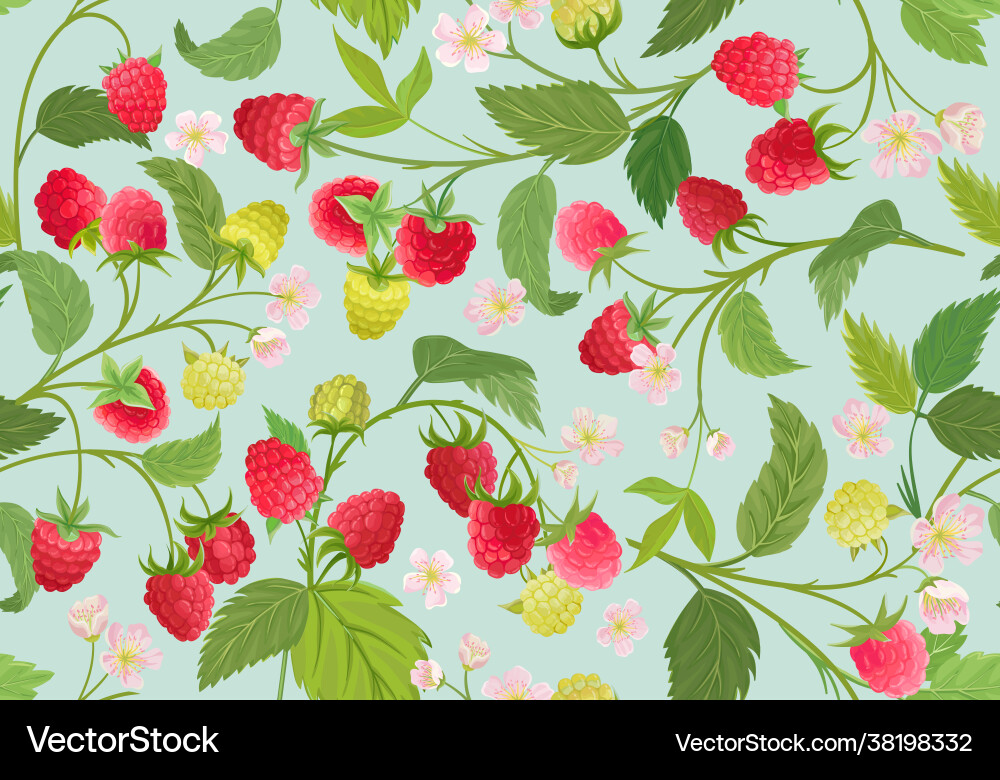 Watercolor Raspberry Pattern vector image