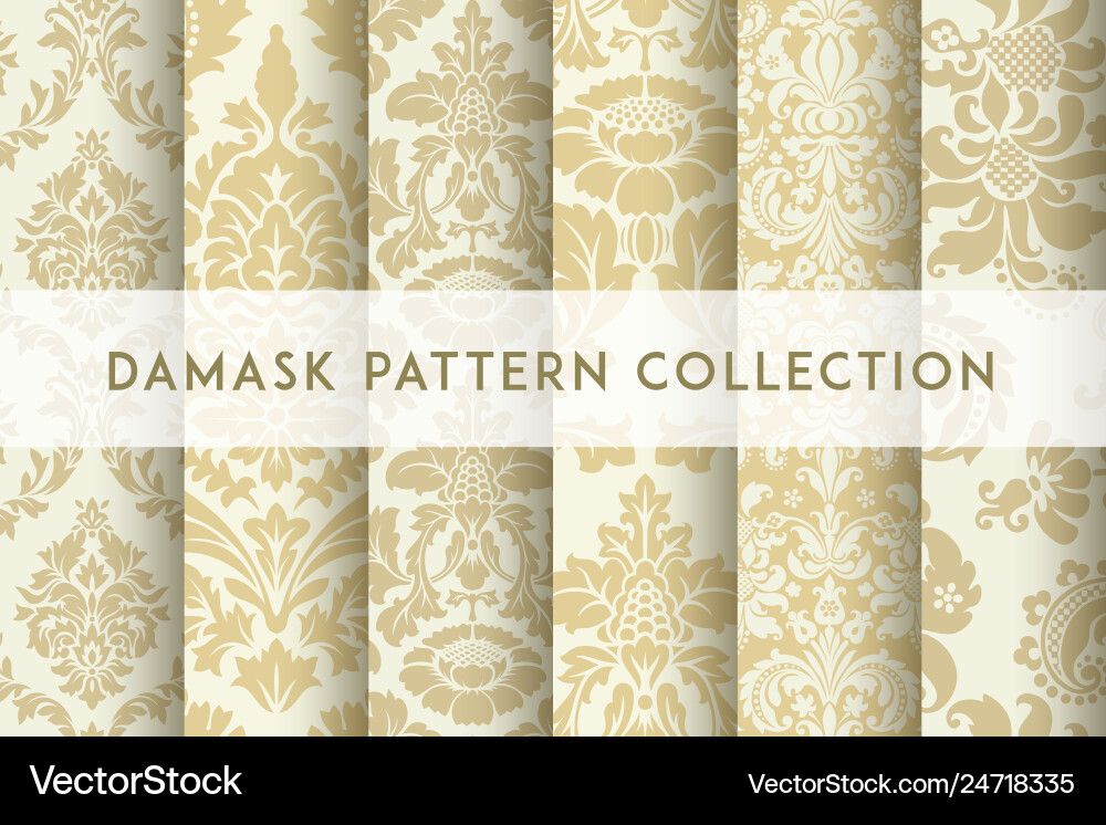 Damask Pattern Collection vector image