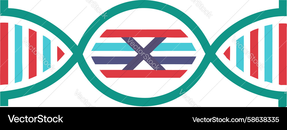 Interlocking dna helix with geometric patterns Vector Image