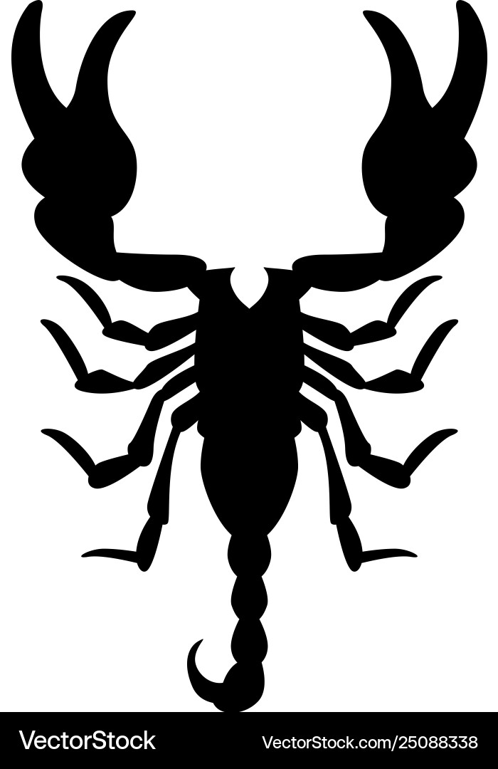 Scorpio black silhouette Scorpio black silhouette vector image