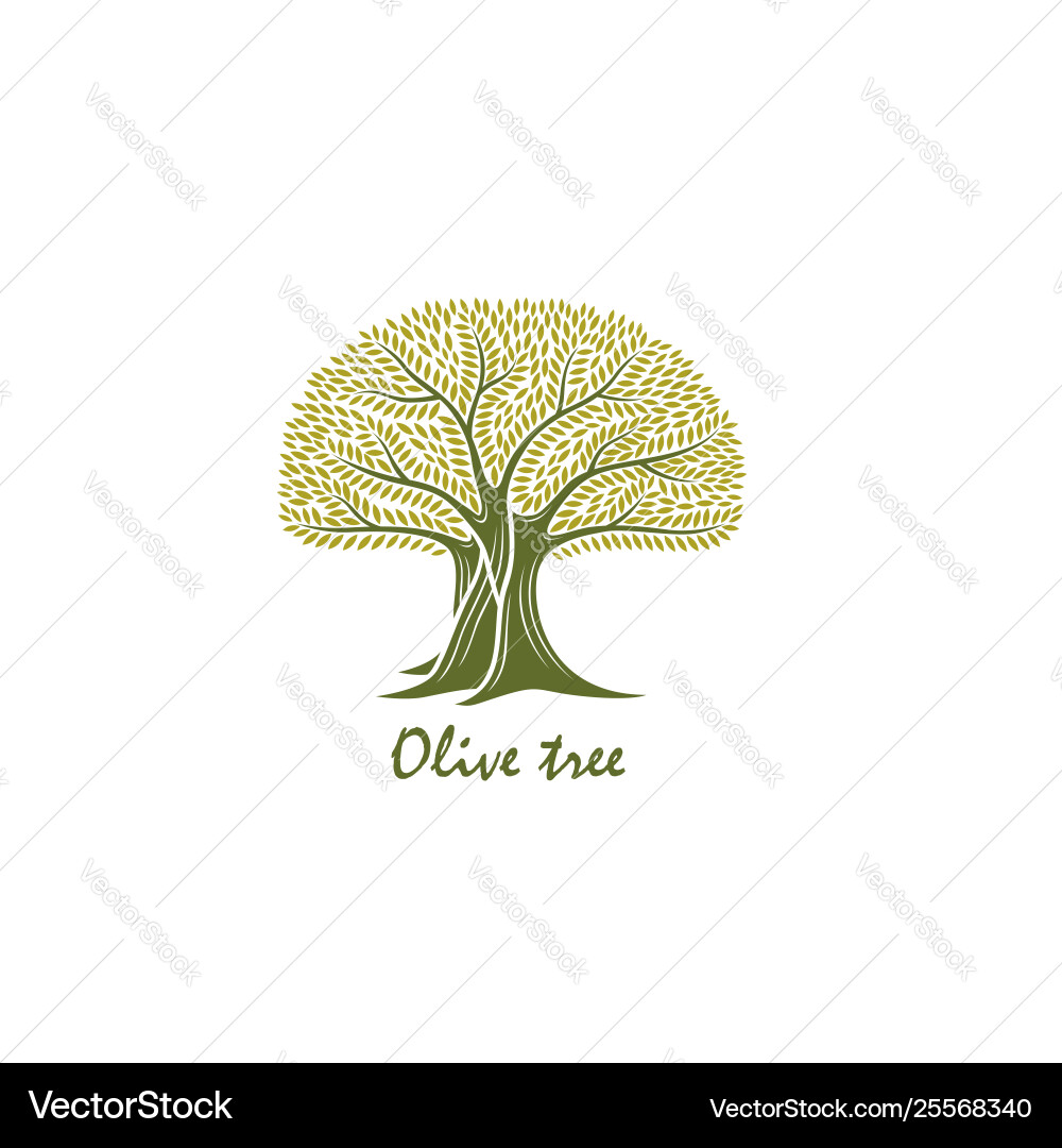Label for olive oil Royalty Free Vector Image - VectorStock