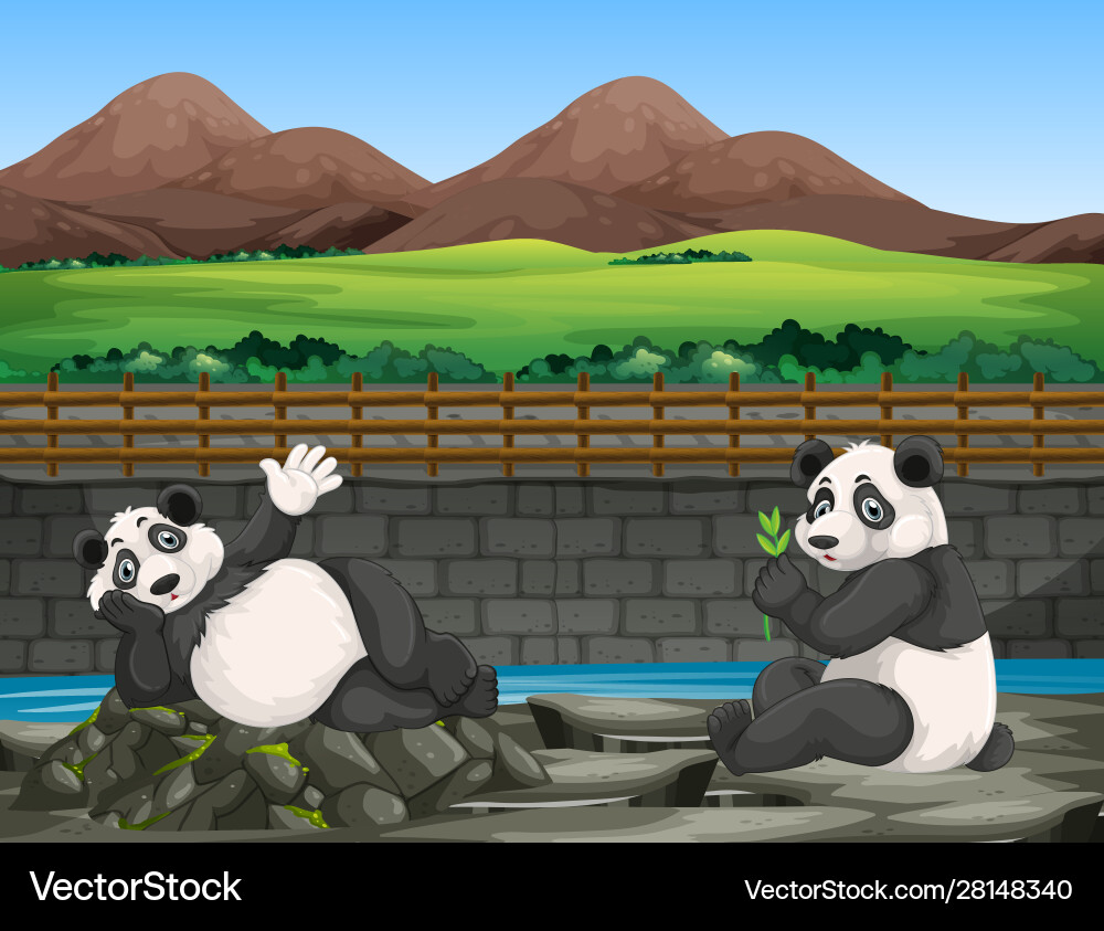 Scene with two pandas at zoo Scene with two pandas at zoo vector image