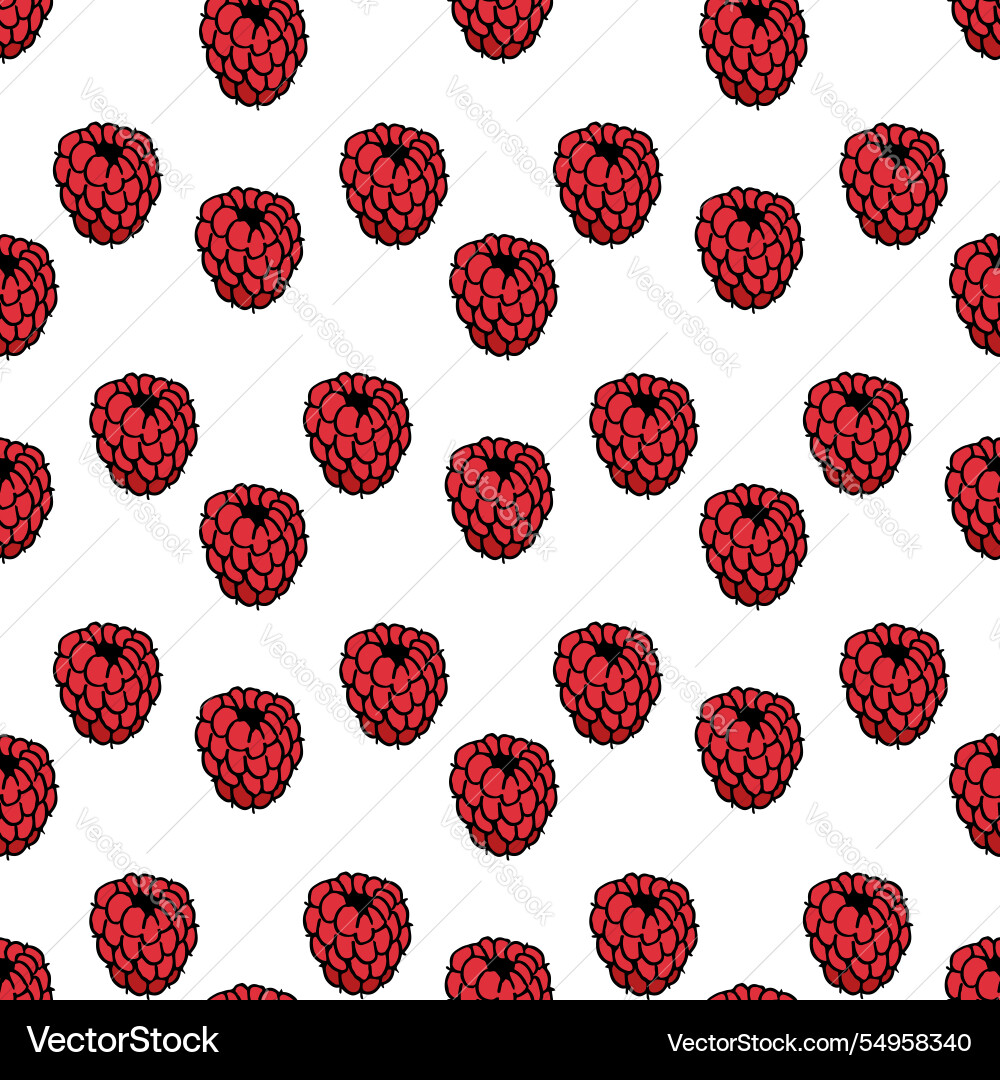 Seamless pattern with stylish sweet raspberry vector image