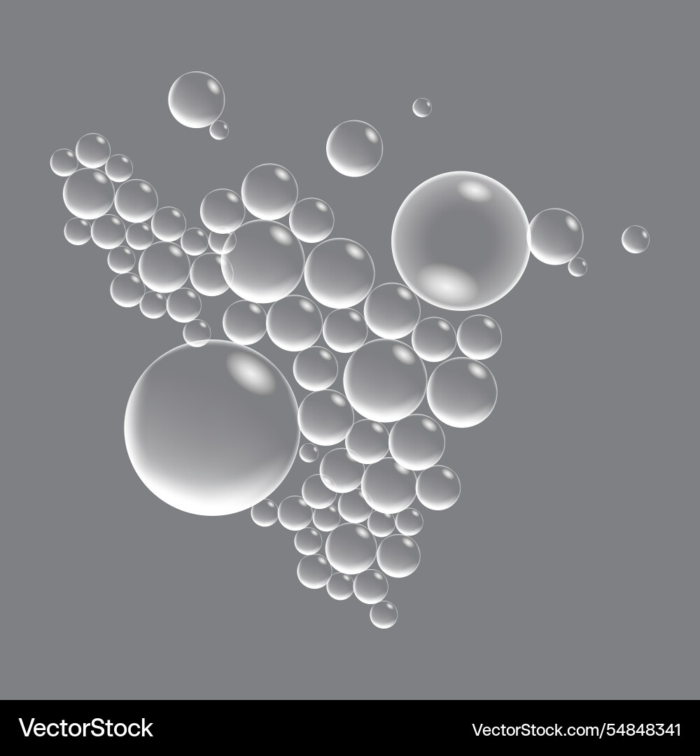 Soap bubbles displaying unique designs vector image
