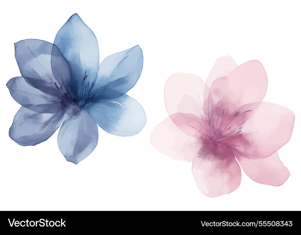 Delicate Watercolor Floral Vector Image
