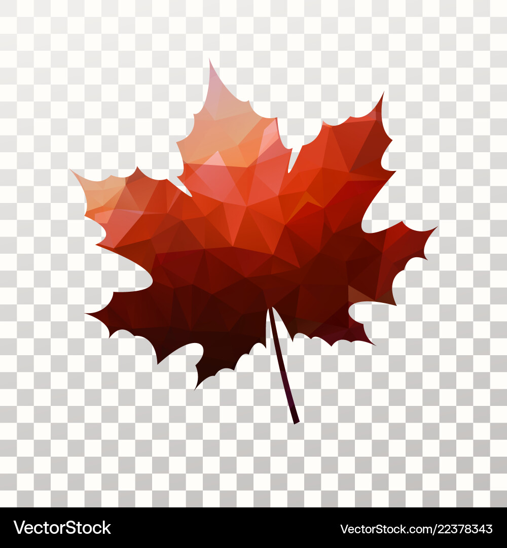 Maple leaf with red triangles texture tree Maple leaf with red triangles texture tree vector image