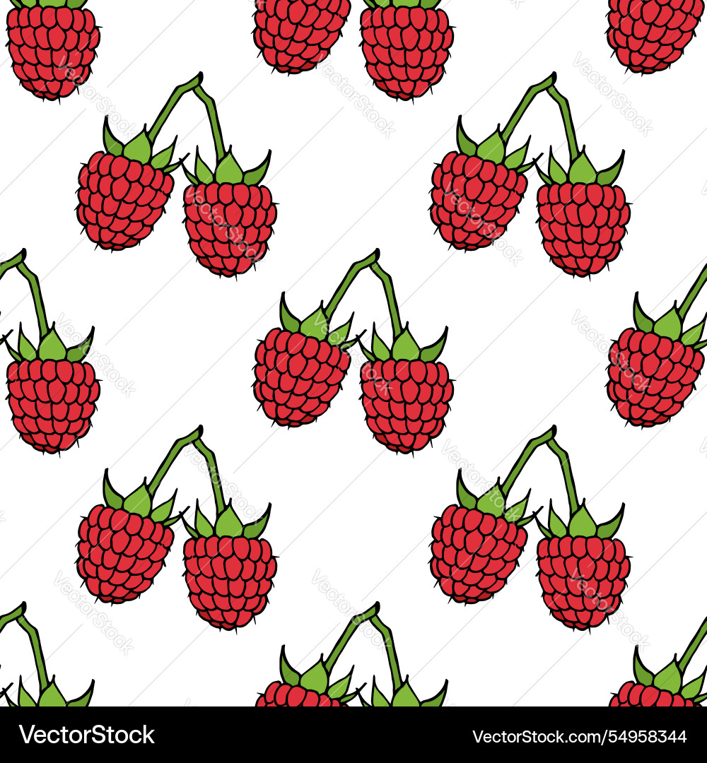 Seamless pattern with fresh sweet raspberry Seamless pattern with fresh sweet raspberry vector image