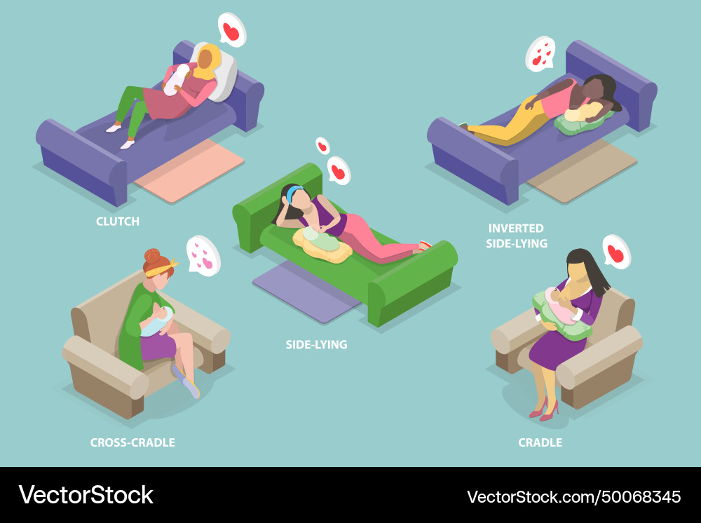 3d isometric flat Royalty Free Vector Image - VectorStock