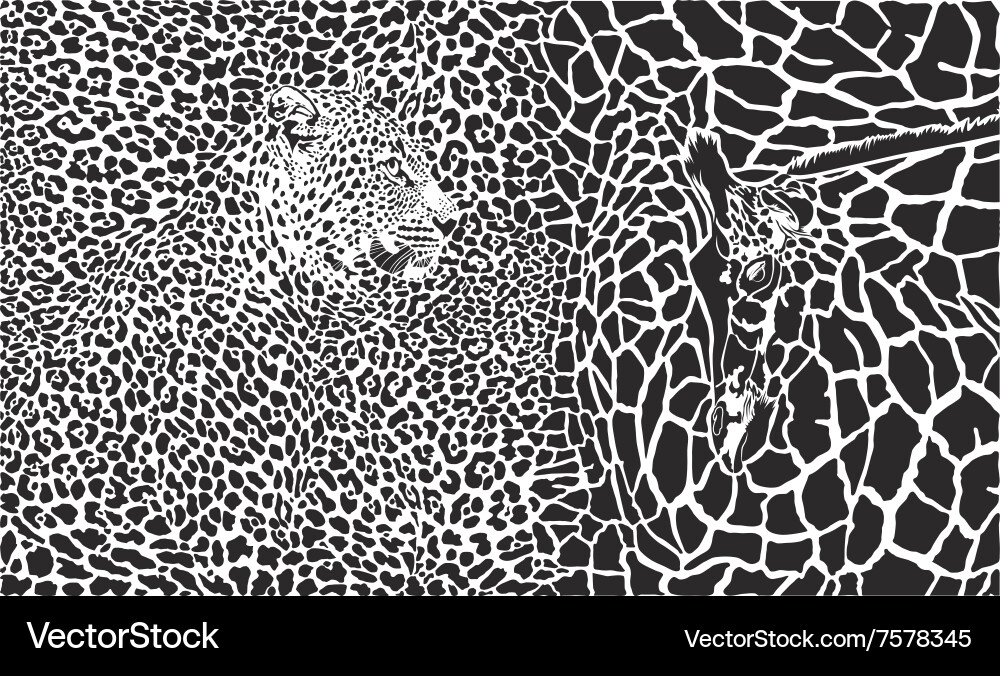 Background with leopard and giraffe vector image