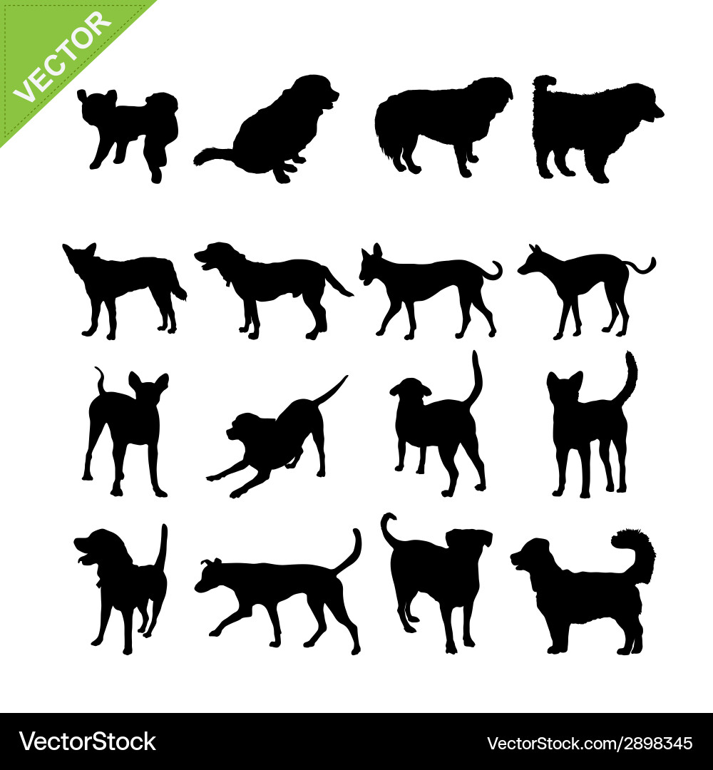 Dog Silhouettes - Animal Collection Vector Image