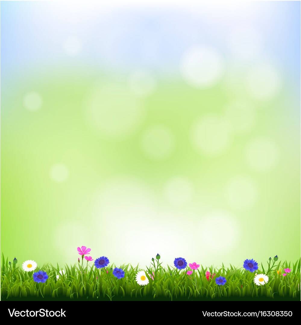 Spring background Royalty Free Vector Image - VectorStock