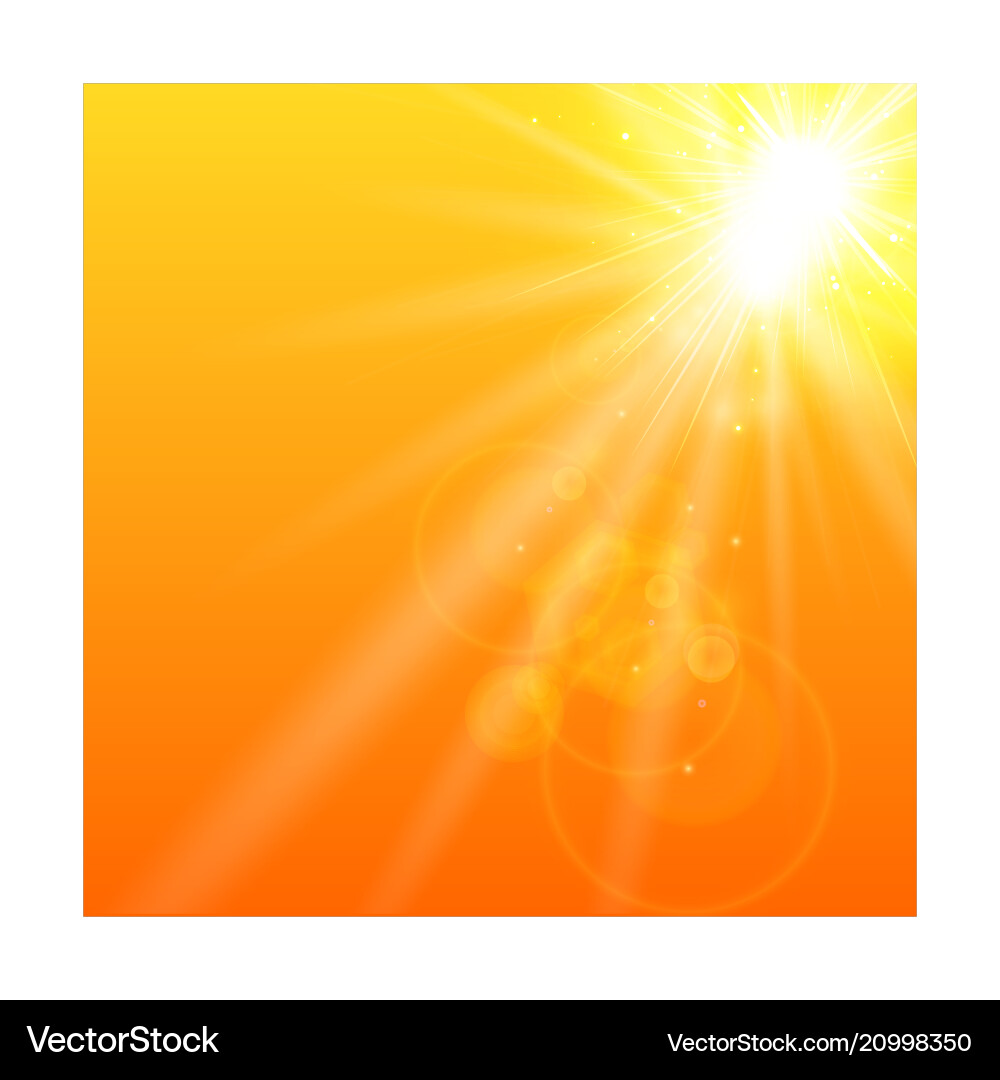 Summer Sunlight Background – Royalty-Free Vector | VectorStock, image size:1000x1080