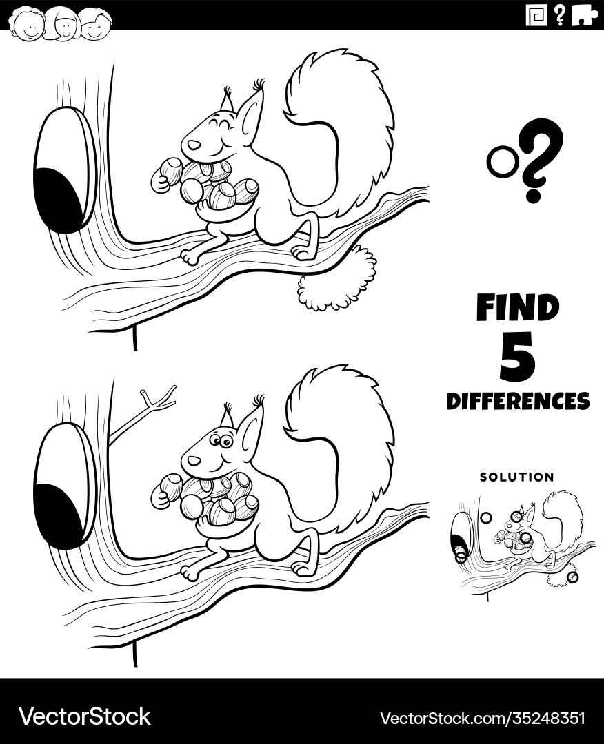 Find the Differences: Squirrel Game vector image