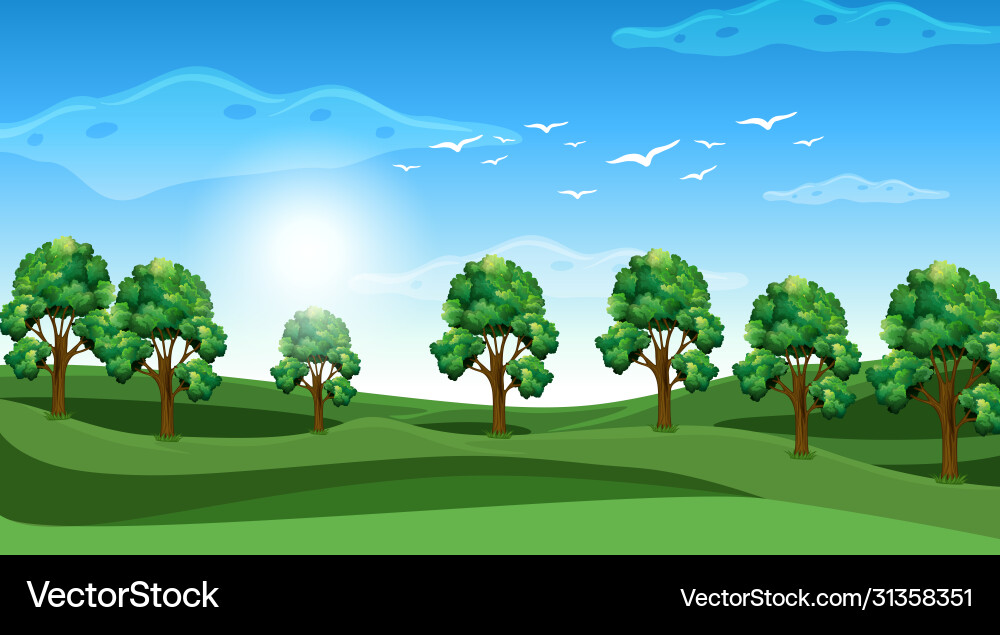 Scene with many trees in field Scene with many trees in field vector image