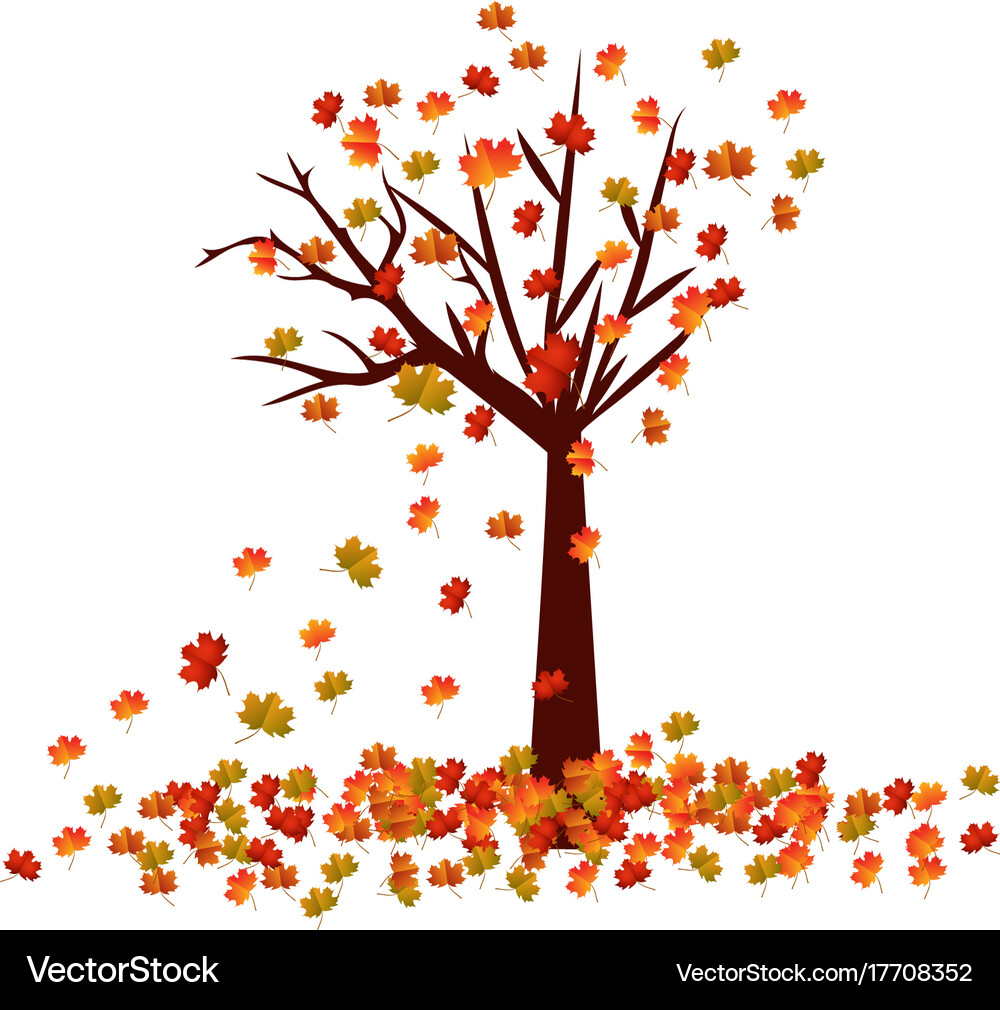 Autumn tree fall leaves background – Royalty-Free Vector | VectorStock, image size:1000x1010